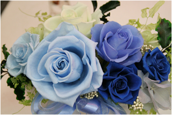 プリザーブドフラワー　オールブルー