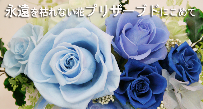 プリザーブドフラワー　オールブルー